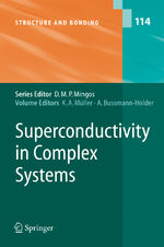 ISBN 9783642062087: Superconductivity in Complex Systems