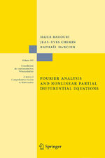 ISBN 9783642168291: Fourier Analysis and Nonlinear Partial Differential Equations