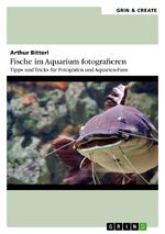 ISBN 9783656529088: Fische im Aquarium fotografieren. Tipps und Tricks für Fotografen und Aquarien-Fans | Arthur Bitterl | Taschenbuch | Paperback | 56 S. | Deutsch | 2013 | GRIN Verlag | EAN 9783656529088