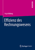 ISBN 9783658028848: Effizienz des Rechnungswesens