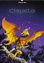 CIRUELO DRACHEN (Wandkalender 2013 DIN A4 hoch) - Fantastische Fabelwelt der Drachen (Monatskalender, 14 Seiten)