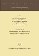 ISBN 9783663199281: Untersuchungen zum Mechanismus der Thermooxidation und zur Stabilisierung von Nylon 6