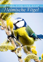 ISBN 9783671758722: Amsel, Fink und Star: Heimische Voegel (Wandkalender 2021 DIN A2 hoch)