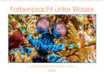 ISBN 9783675048614: Farbenpracht unter Wasser (Wandkalender 2023 DIN A2 quer) – Ein Kalender mir farbstarken und ausdrucksvollen Aufnahmen aus der tropischen Unterwasserwelt. (Monatskalender, 14 Seiten )