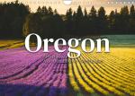 ISBN 9783675281721: Oregon - Amerikas wunderschöne Westküste (Wandkalender 2023 DIN A4 quer) - Natur Pur im Westen Amerikas. (Monatskalender, 14 Seiten )