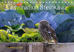 ISBN 9783675286207: Faszination Steinkauz (Tischkalender 2023 DIN A5 quer) - Einmalige Bilder von Steinkäuzen in freier Natur. (Monatskalender, 14 Seiten )