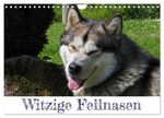 ISBN 9783675927209: Witzige Fellnasen (Wandkalender 2024 DIN A4 quer), CALVENDO Monatskalender