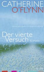 ISBN 9783716026458: Der vierte Versuch