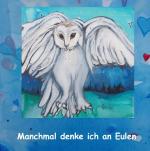 ISBN 9783735721693: Manchmal denke ich an Eulen