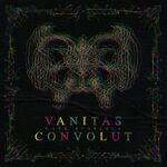 ISBN 9783737529044: Vanitas Convolut