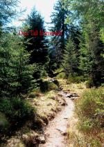 ISBN 9783739220345: Das Tal Irminsul