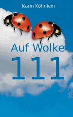 ISBN 9783739228921: Auf Wolke 111