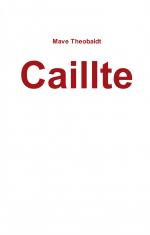 ISBN 9783740735012: Caillte