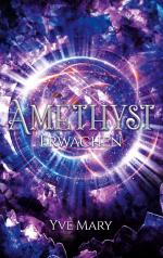 ISBN 9783740781668: Amethyst - Erwachen