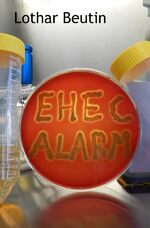 ISBN 9783742703330: EHEC-Alarm - ein Wissenschaftskrimi