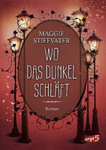 ISBN 9783743213739: Wo das Dunkel schläft (Band 4) – Entdecke die spannende Mischung aus Fantasy, Romantik und Spannung - Fantasyroman ab 14 Jahren