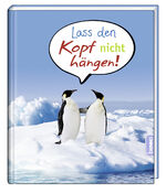 ISBN 9783746264073: Lass den Kopf nicht hängen!