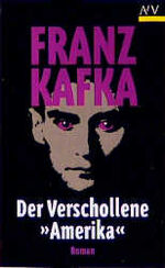 ISBN 9783746611464: Der Verschollene (Amerika)