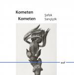 ISBN 9783749495672: Kometen Kometen – Gedichte