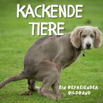 ISBN 9783750506978: Kackende Tiere – Ein befreiender Bildband