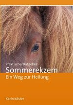 ISBN 9783752625066: Praktischer Ratgeber Sommerekzem - Ein Weg zur Heilung