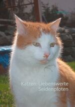 ISBN 9783752839920: Katzen: Liebenswerte Seidenpfoten