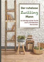 ISBN 9783752866407: Der ruhelose Zwilling Mann ist ständig auf der Suche nach unentdeckten Horizonten