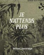 ISBN 9783753307664: Je n´attends plus