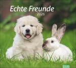 ISBN 9783756413492: times&more Echte Freunde Bildkalender 2026