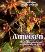 ISBN 9783764351526: Ameisen