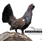 ISBN 9783765082832: Auerhühner – Schön, scheu, schützenswert