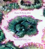 ISBN 9783775732109: Hannah Collins - The Fragile Feast: Routes to Ferran Adrià