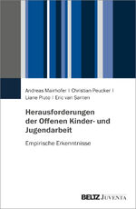 ISBN 9783779968719: Herausforderungen der Offenen Kinder- und Jugendarbeit – Empirische Erkenntnisse