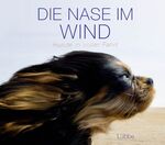 ISBN 9783785725313: Die Nase im Wind - Hunde in voller Fahrt