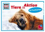 Tiere in Aktion (WAS IST WAS Postkartenbuch)