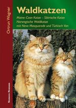 Waldkatzen - Maine-Coon Katze, Sibirische Katze, Norwegische Waldkatze mit Neva Masquarade und Türkisch Van