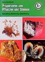 Präparieren von Pflanzen und Steinen