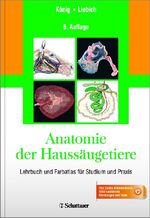 ISBN 9783794529841: Anatomie der Haussäugetiere: Lehrbuch und Farbatlas für Studium und Praxis [Gebundene Ausgabe] Horst Erich König Hans Georg Liebich Tiermedizin Veterinärmedizin Bewegungsapparat Verdauungsapparat Atmu