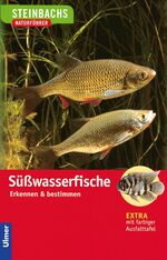 ISBN 9783800142965: Süßwasserfische