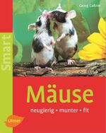 Mäuse – Neugierig - munter - fit