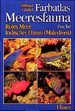 ISBN 9783800172665: Farbatlas Meeresfauna. Rotes Meer, Indischer Ozean (Malediven) / Fische