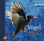 ISBN 9783800177080: Vögel - Magische Momente | Markus Varesvuo | Buch | 160 S. | Deutsch | 2012 | Ulmer Eugen Verlag | EAN 9783800177080