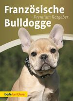 Französische Bulldogge