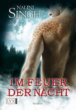 ISBN 9783802582264: Im Feuer der Nacht