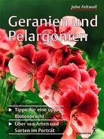 ISBN 9783804372177: Geranien und Pelargonien