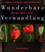 Wunderbare Verwandlung - Knospe, Blüte, Frucht