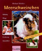 Meerschweinchen