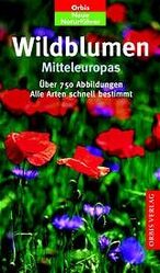 Naturführer Wildblumen Mitteleuropas