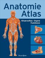 ISBN 9783809422631: Anatomie- Atlas- Körperbau- Organe- Funktionen