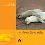 ISBN 9783811817906: ... weil ich an deiner Stelle stehe